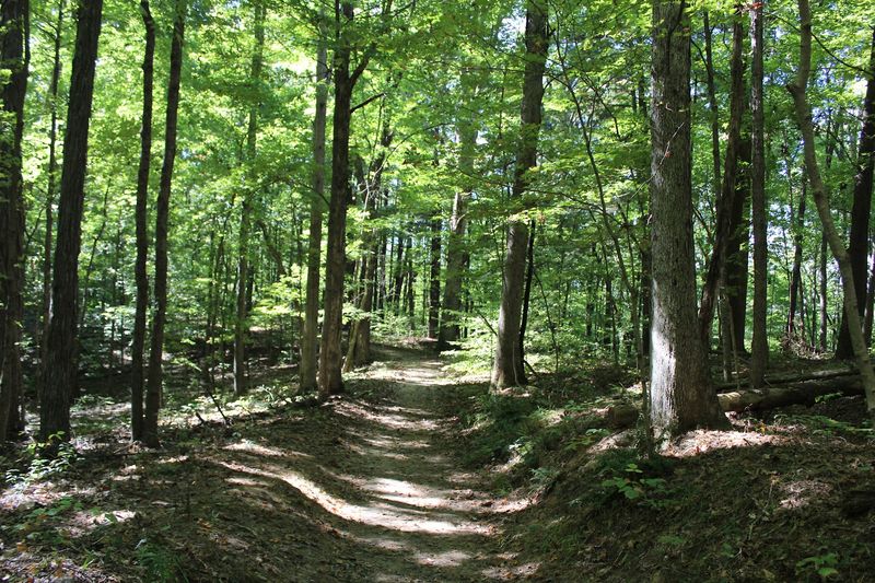 Hoosier National Forest, A Southern Indiana Tapestry Hoosier National Forest, A Southern Indiana Tapestry