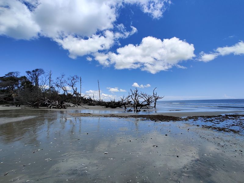 How Erosion Shaped This Hauntingly Beautiful Shore How Erosion Shaped This Hauntingly Beautiful Shore