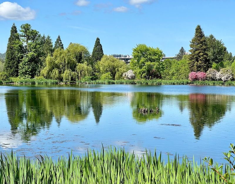 How the Garden Connects to Its Surrounding Neighborhood
