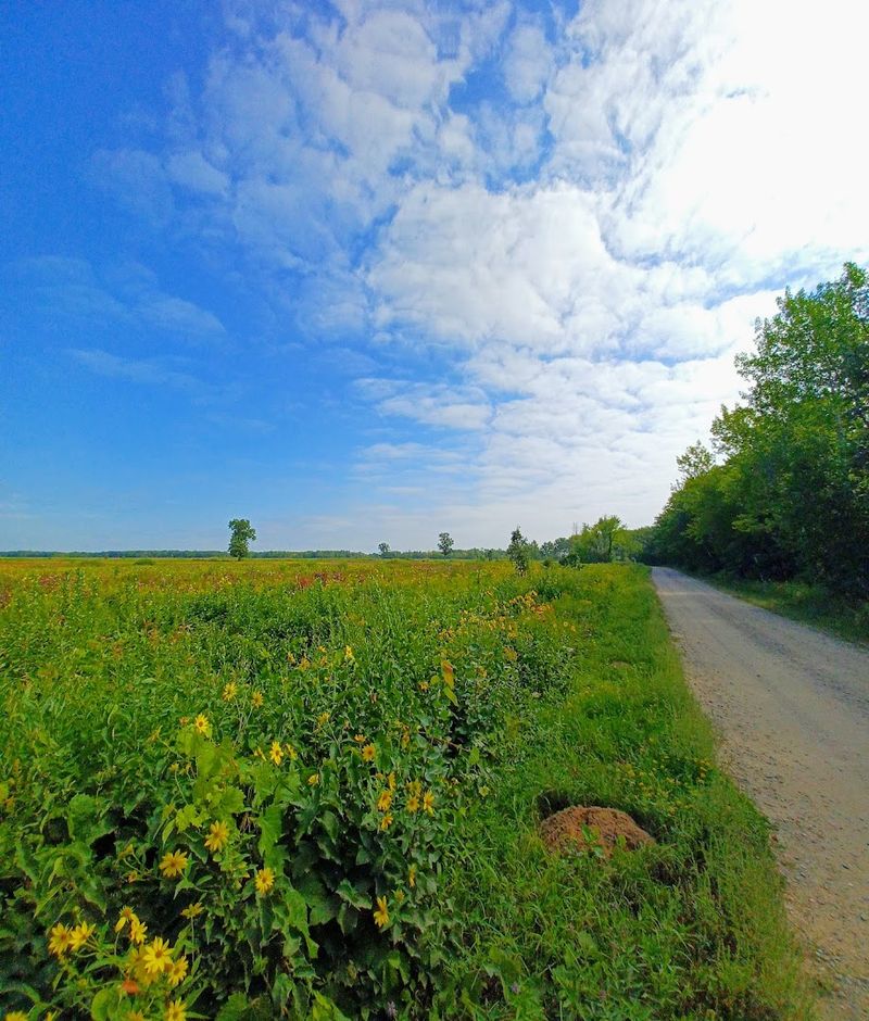 How to Get There and When to Visit How to Get There and When to Visit