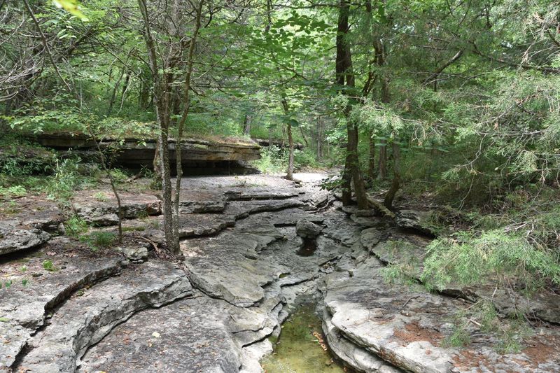 Huckleberry Ridge Conservation Area