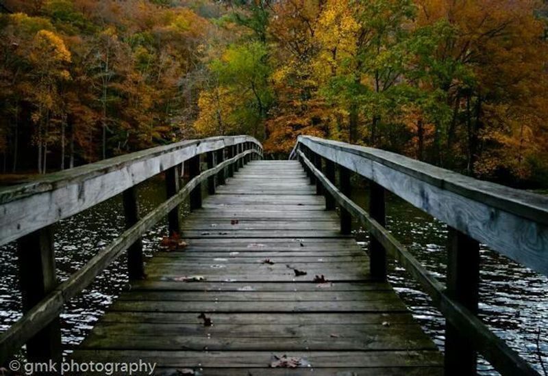 Hungry Mother State Park Footbridge, Marion, VA