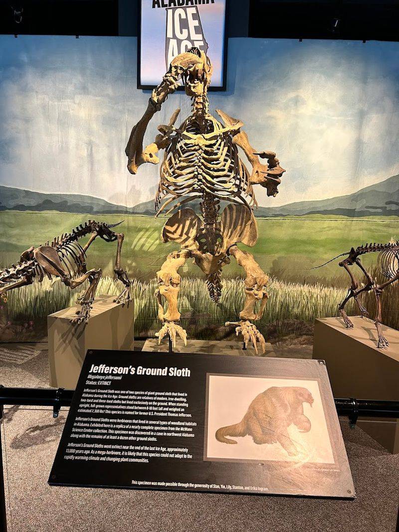 Ice Age Alabama: Woolly Mammoths and Sabertooth Cats Closer Than You Think Ice Age Alabama: Woolly Mammoths and Sabertooth Cats Closer Than You Think