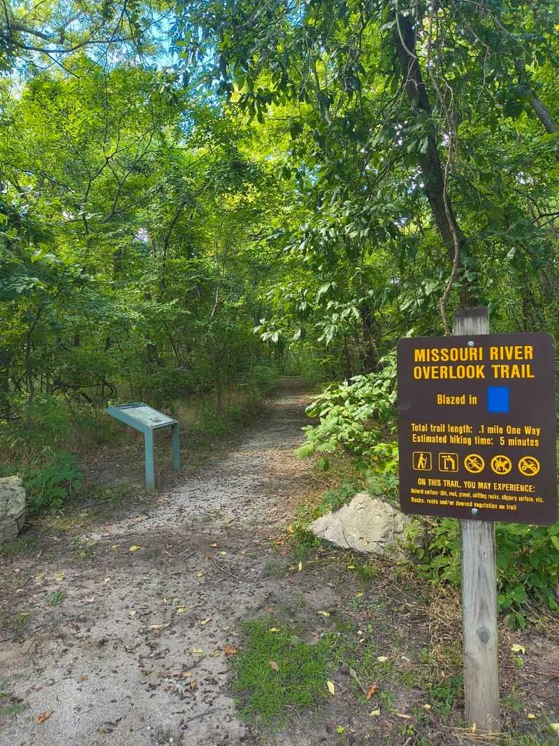 If You Walk Slowly, The Wildlife Starts Showing Itself