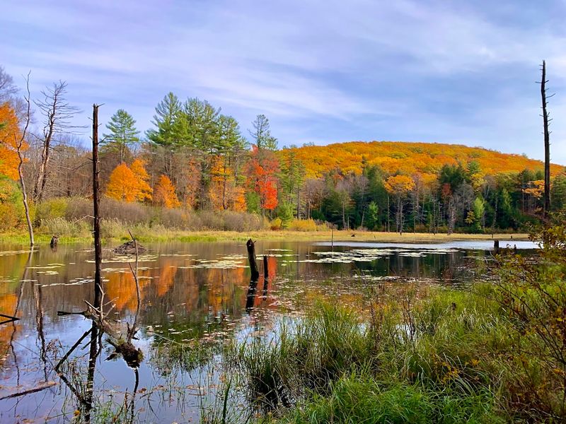 Indian Pond and the Scenic Trails That Surround It Indian Pond and the Scenic Trails That Surround It