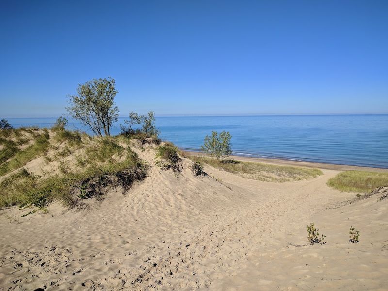 Indiana Dunes National Park, Where Sand Meets Wild Forest Indiana Dunes National Park, Where Sand Meets Wild Forest