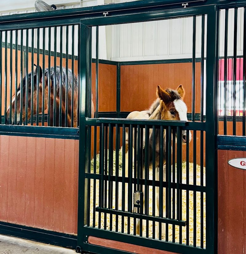 Inside The Barns Where Everything Happens