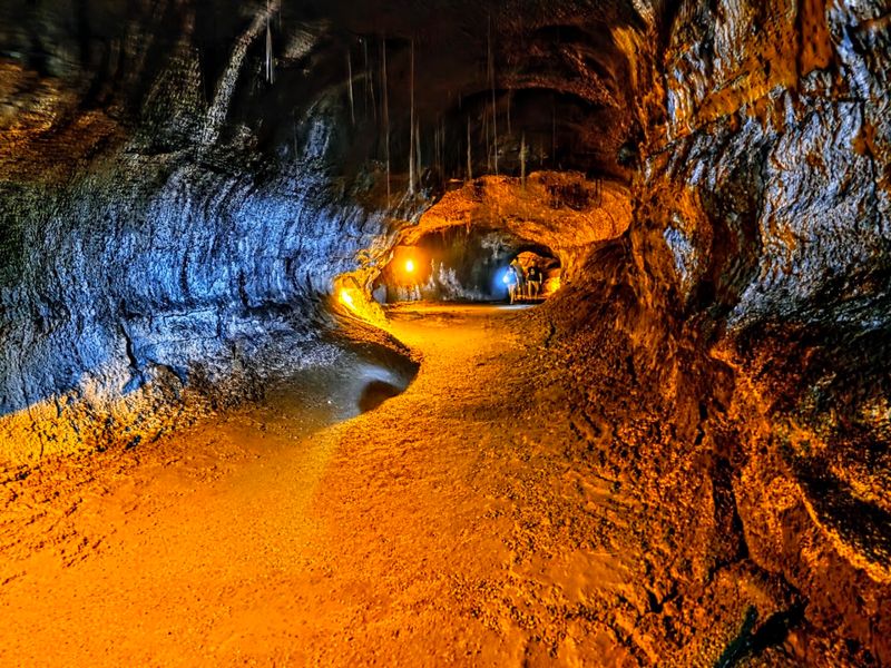 Inside the Tube: What You Will Actually See and Feel Inside the Tube: What You Will Actually See and Feel