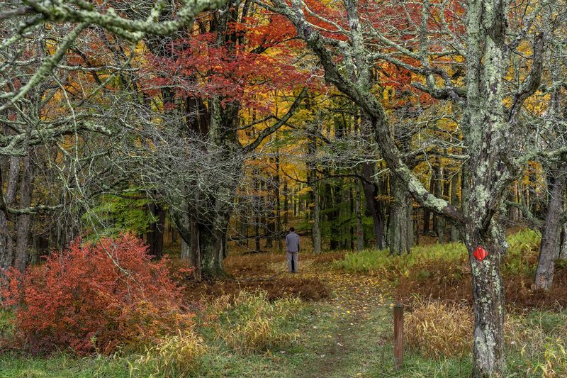 Insider Tips For First-Time Visitors