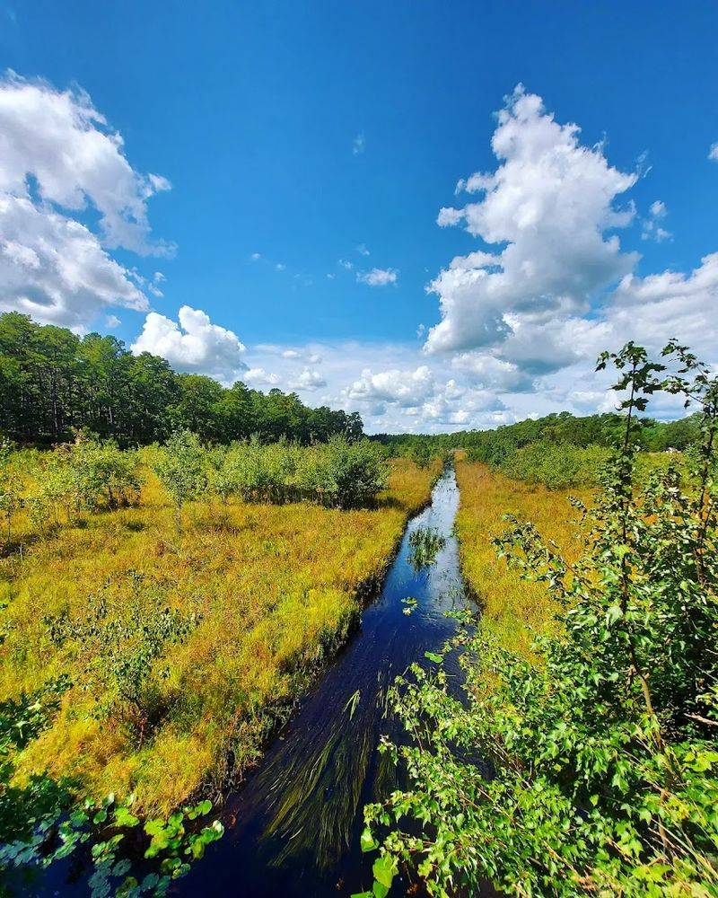 Is This Really Barnegat, or a Nature Retreat?