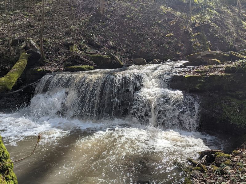 Is This a Hike or a Hidden Waterfall Tour?