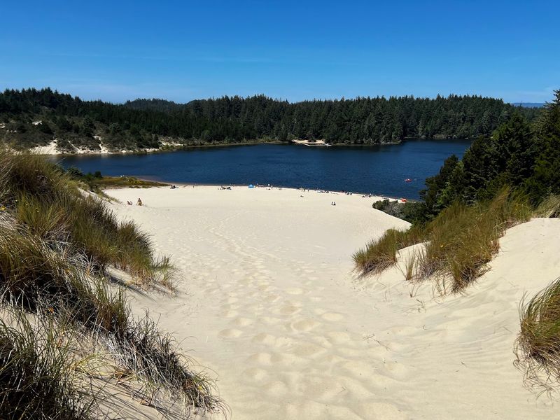 Jessie M. Honeyman Memorial State Park and the Coastal Dunes Connection Jessie M. Honeyman Memorial State Park and the Coastal Dunes Connection