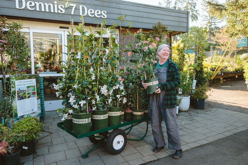 Joe, the Heart of the Garden Center Joe, the Heart of the Garden Center