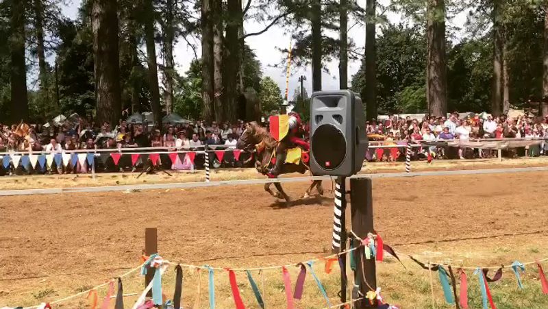 Jousting Shows That Actually Deliver the Drama