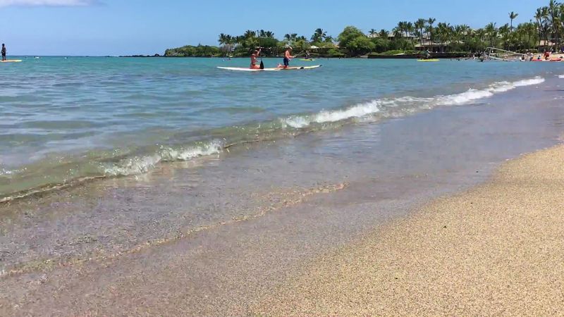 Kayaking, Paddleboarding, and Water Sport Rentals on the Beach