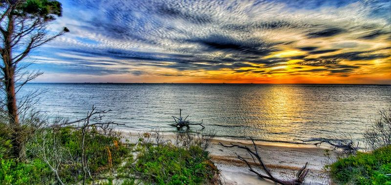 Kiptopeke State Park and the Great Outdoors Calling Your Name Kiptopeke State Park and the Great Outdoors Calling Your Name