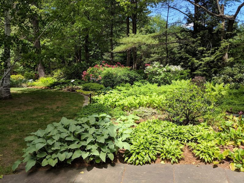 Kirkwood Gardens and the Surrounding Trails Deserve More Credit