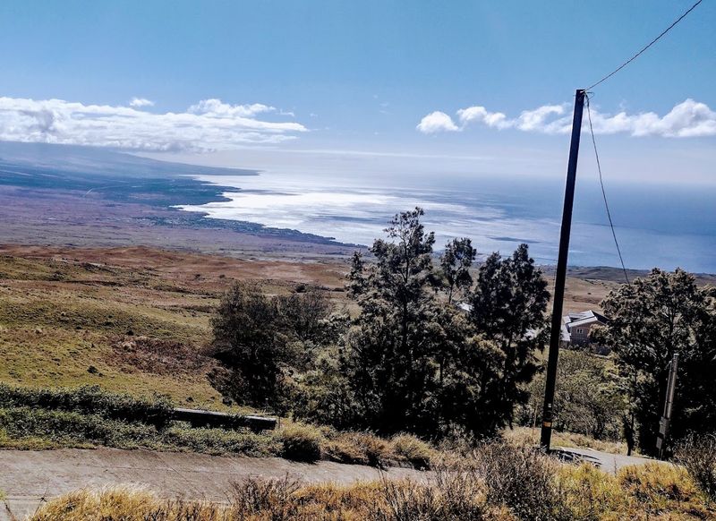 Kohala Mountain Road: The Drive That Rewrites Your Expectations