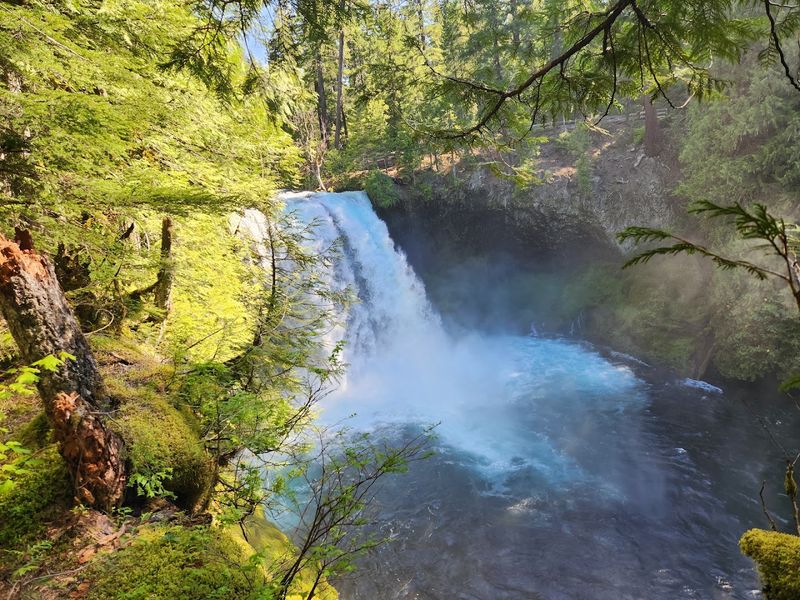 Koosah Falls, the First Roar You Will Hear