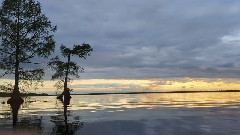 Lake Drummond