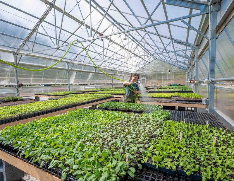 Land's Sake Farm in Weston, MA