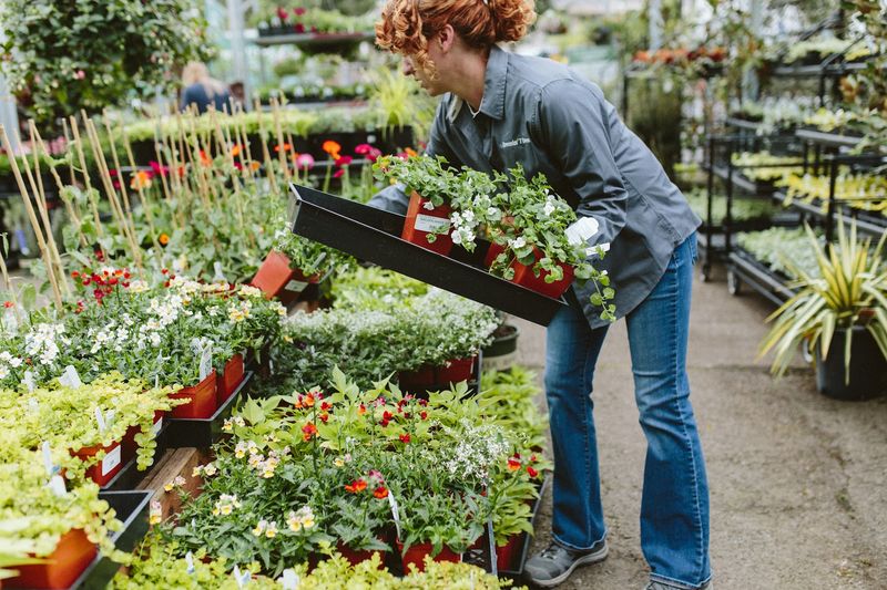 Landscape Design Services That Go Beyond the Store Landscape Design Services That Go Beyond the Store