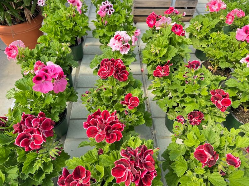 Landscape Design Services That Transform Outdoor Spaces