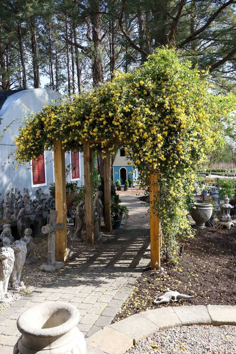 Landscaping Services That Actually Deliver