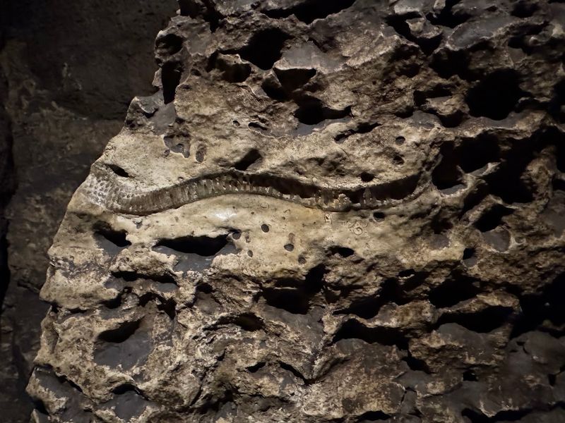 Limestone Formations and Million-Year-Old Fossils Limestone Formations and Million-Year-Old Fossils
