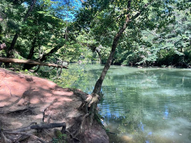Limestone Park Canoe Rental