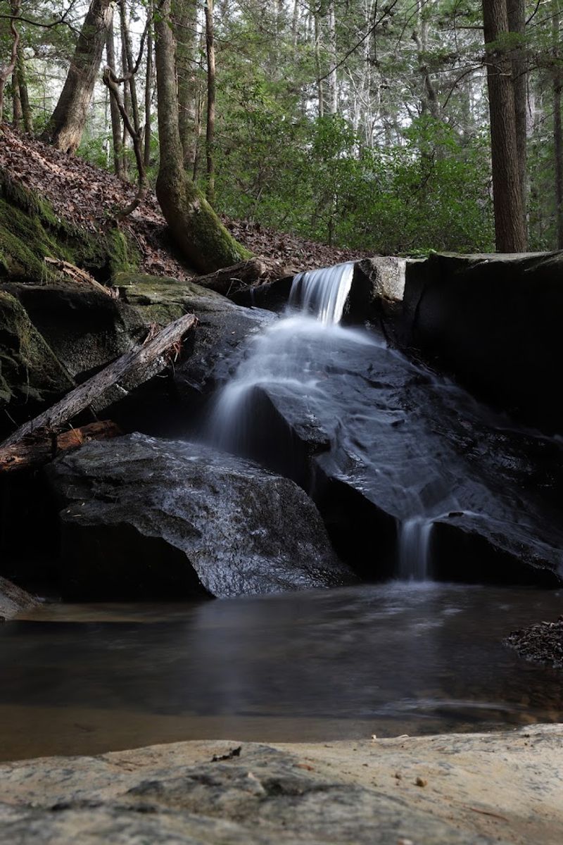 Listen to the Waterfall and Stream Running Through the Park Listen to the Waterfall and Stream Running Through the Park