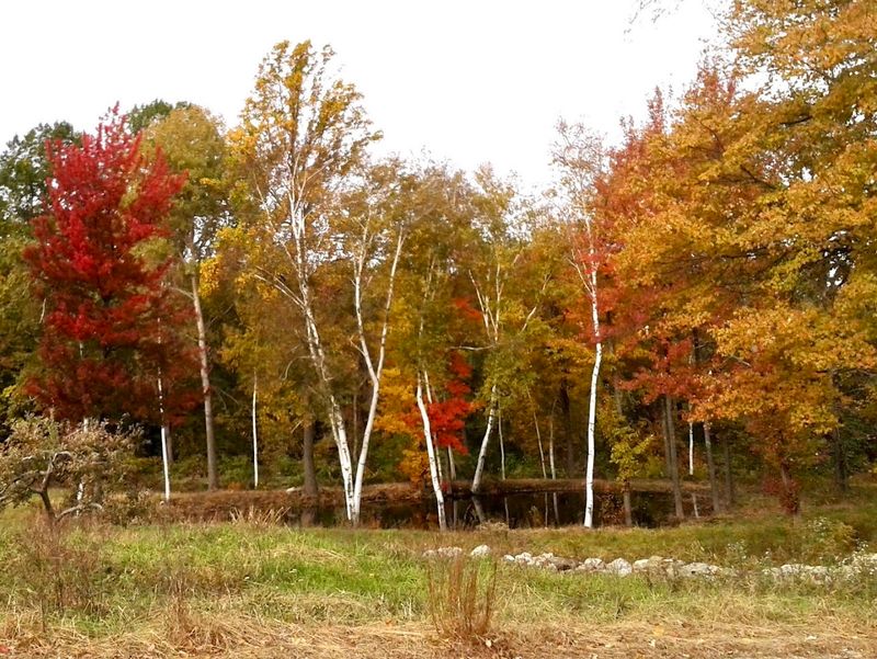 Litchfield Hills: The Landscape That Frames Everything Litchfield Hills: The Landscape That Frames Everything