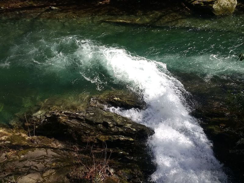 Little River Trail: An Easy Walk with a Lot to Say Little River Trail: An Easy Walk with a Lot to Say