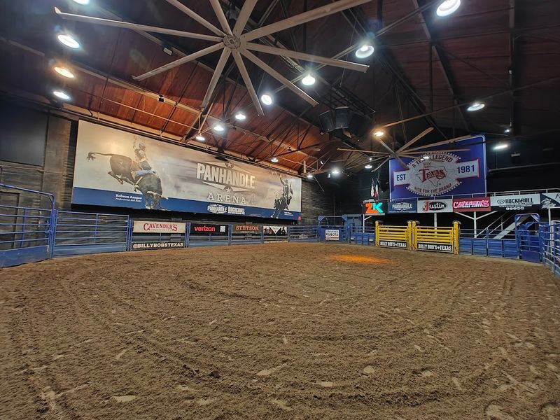 Live Bull Riding That Is the Real Deal