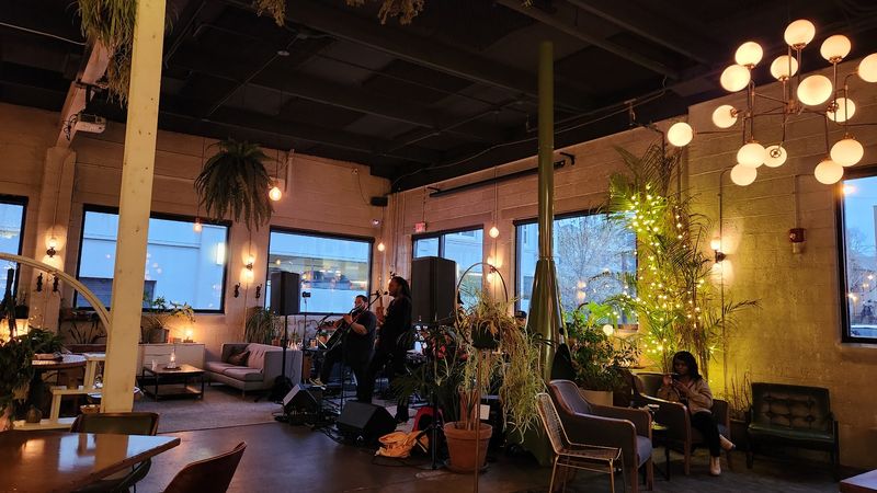 Live Music and a Space That Breathes Live Music and a Space That Breathes