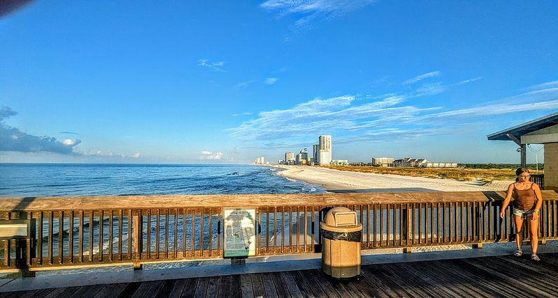 Make Time For The Elevated Observation Deck