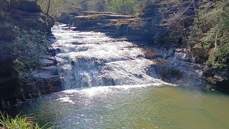 Make Time for Bankhead National Forest Surroundings Make Time for Bankhead National Forest Surroundings
