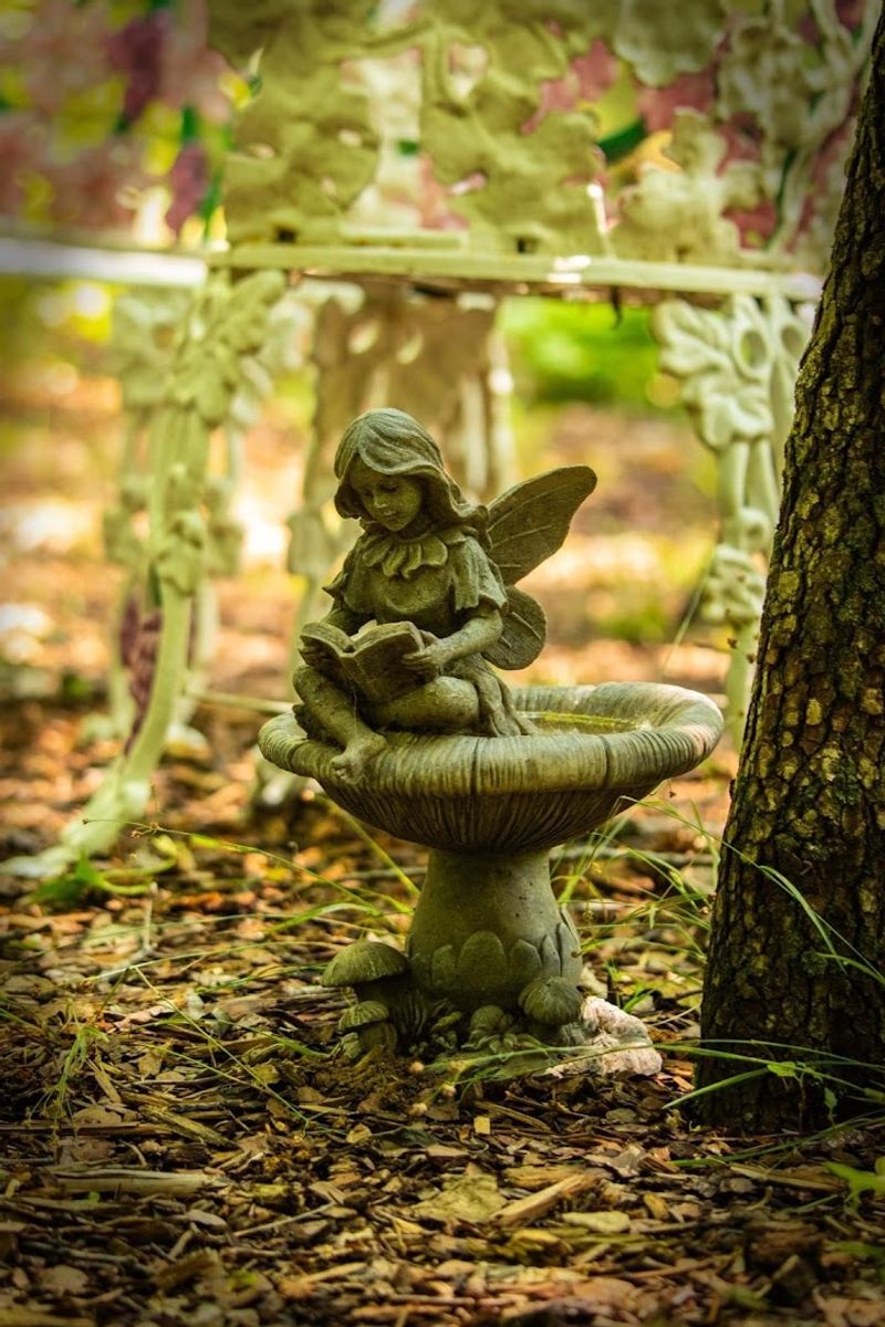 Make Time for the Fairy Garden and Koi Pond Area Make Time for the Fairy Garden and Koi Pond Area