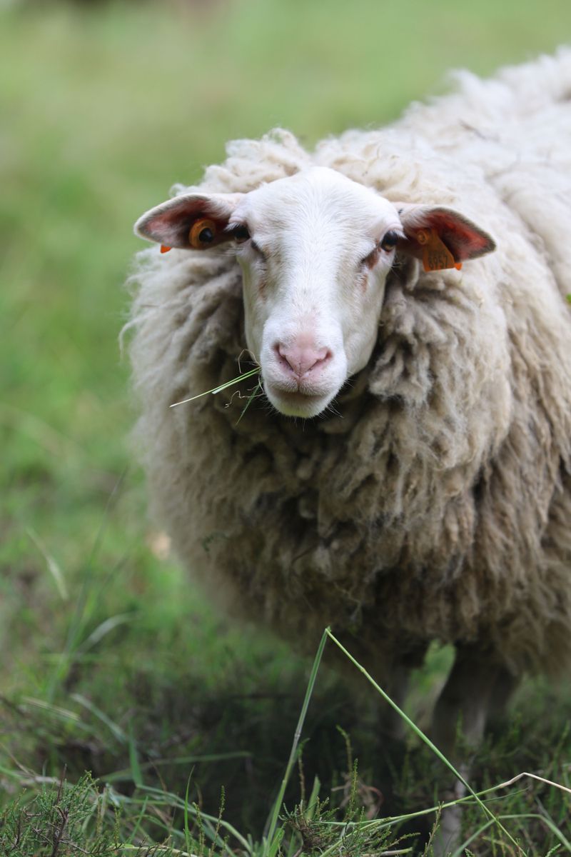 Make Time for the Guided Farm Tour Experience