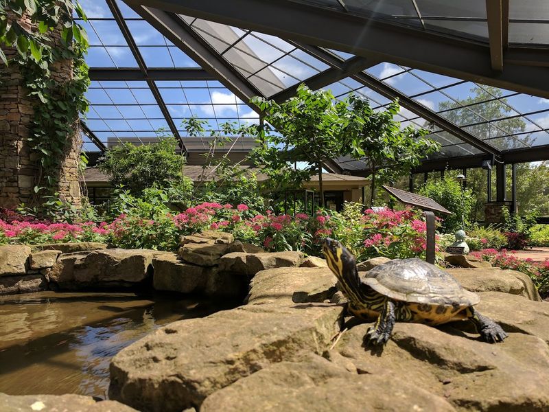 Make Time to Spot Turtles, Frogs, and Quail Too