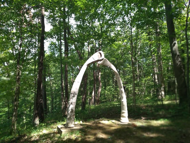 Make the Most of Three Miles of Primitive Forest Trails