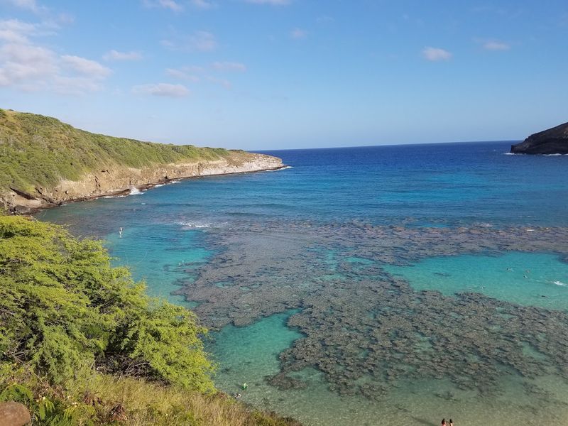 Mana, Memory, and the Sacred Ground of Nuuanu