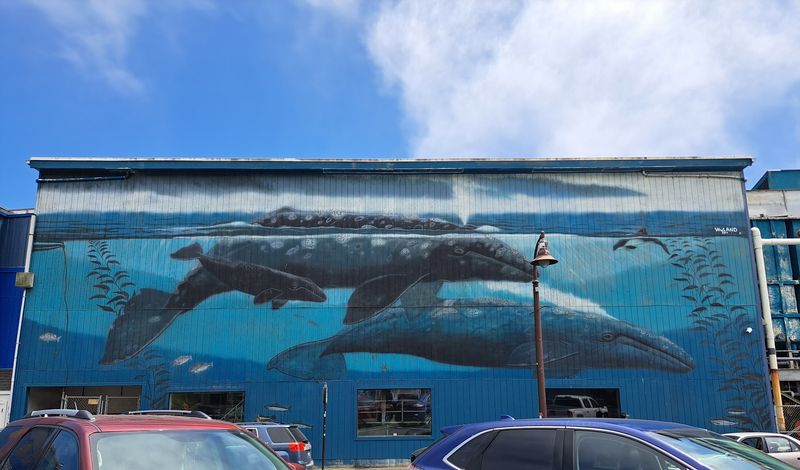 Marine-Themed Murals Painted Across Building Walls