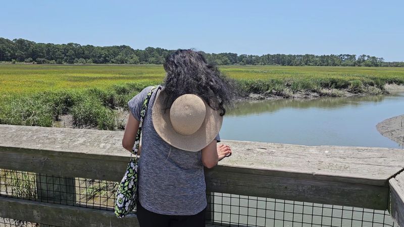 Marshlands, Wildlife, and a Saltwater Lagoon Worth Exploring