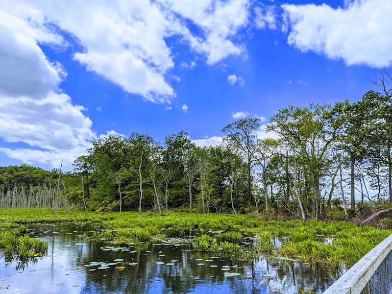 Mason Neck State Park