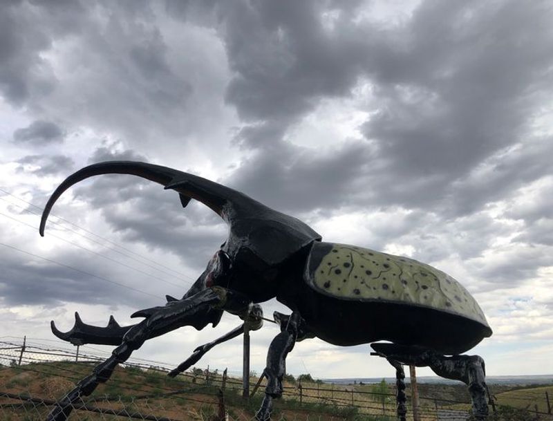 Meet Herkimer: The World's Largest Beetle Statue Meet Herkimer: The World's Largest Beetle Statue