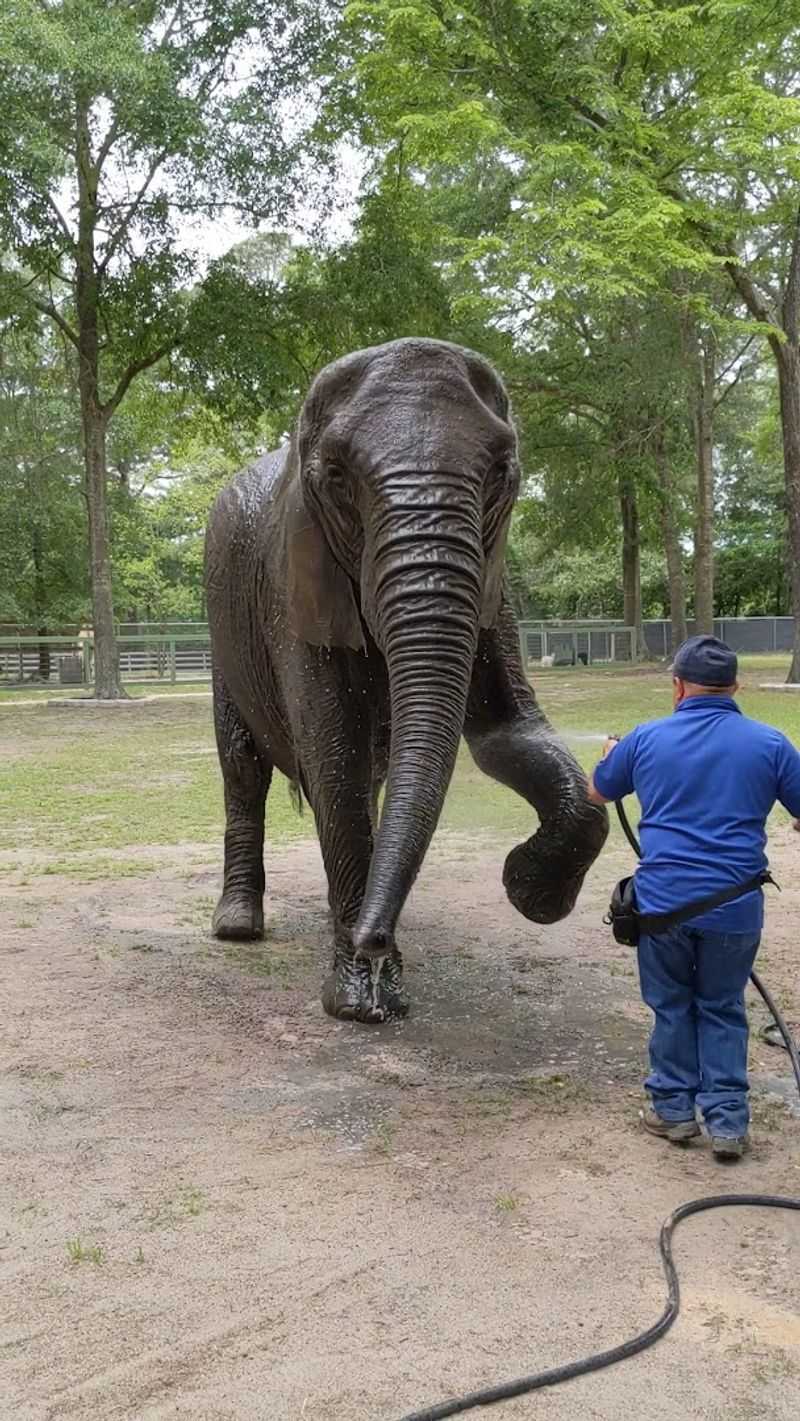 Meet Paige, the Tallest of the Three