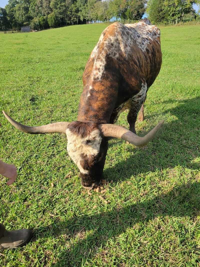 Meet the Residents Who Stole Everyone's Hearts