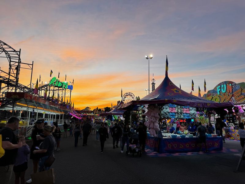 Midway Madness and the Rides That Steal Your Breath Away Midway Madness and the Rides That Steal Your Breath Away