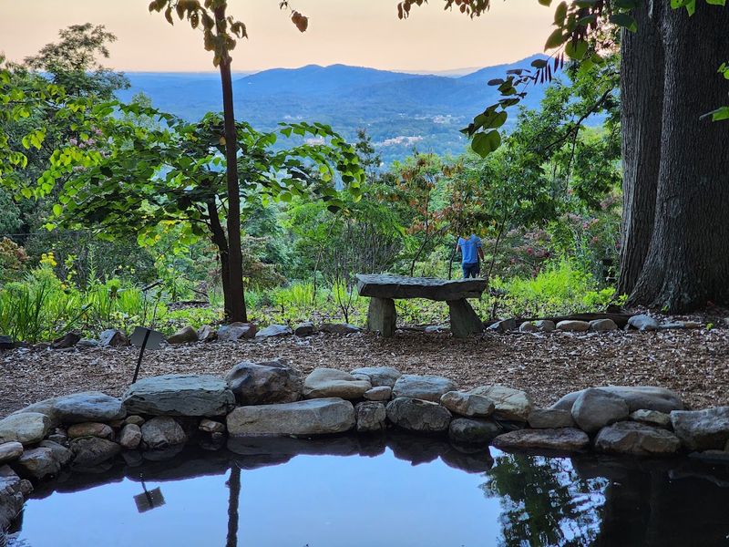 Mill Mountain Springs (Roanoke)